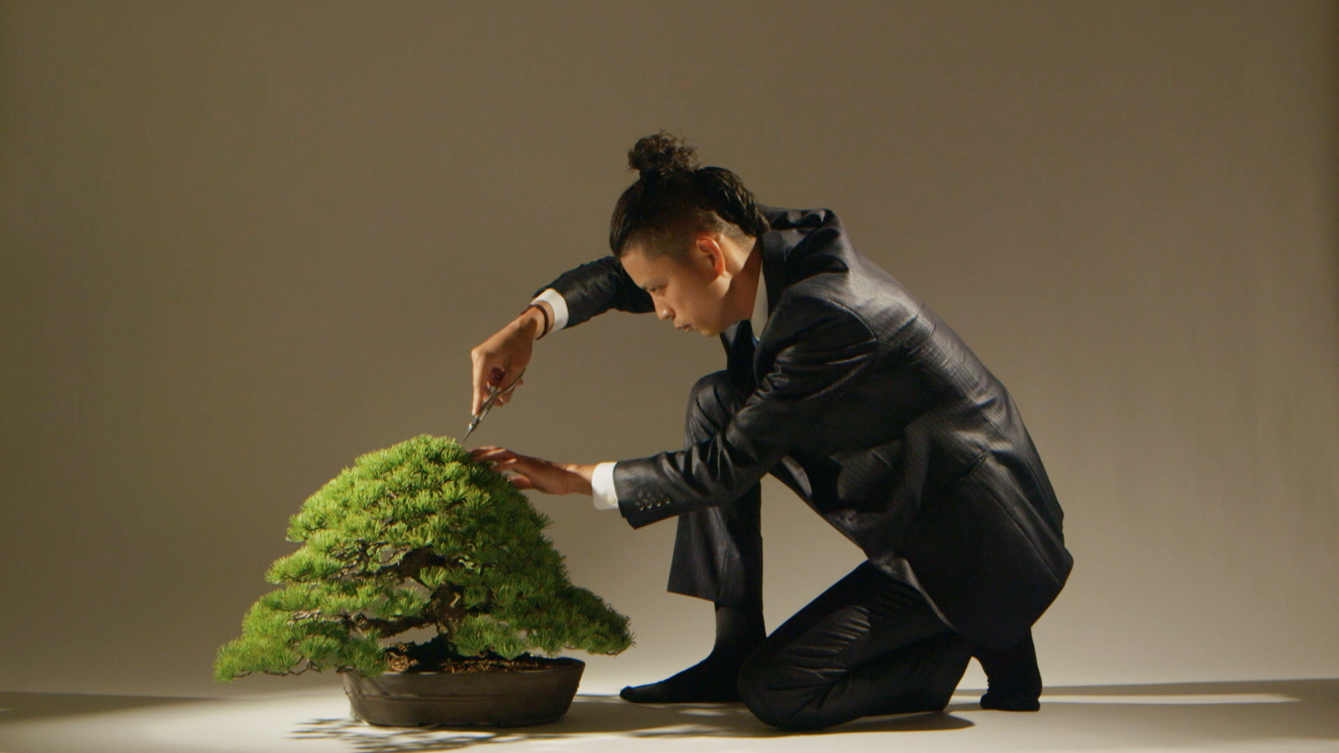 Bonsai Bad Boy