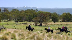 Best of the Wilderness Destinations in Australia